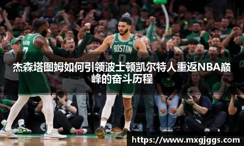 OB视讯官网
