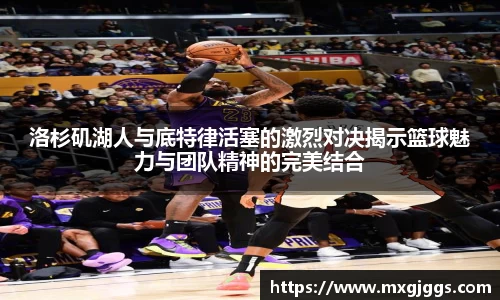 OB视讯官网