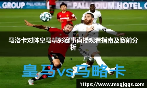 OB视讯
