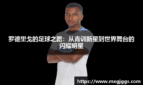 OB视讯官网