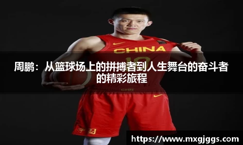 OB视讯官网